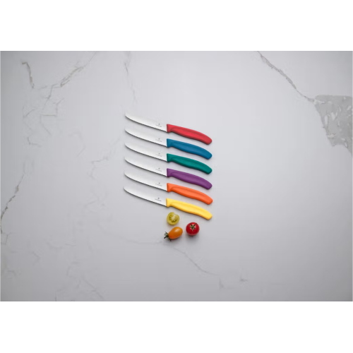 COLTELLO TAVOLA SEGHETTATO COLORI ASSORTITI PUNTA TONDA CM.11