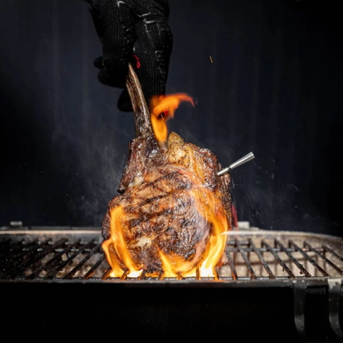 TERMOMETRO DA CUCINA MEATER PRO
